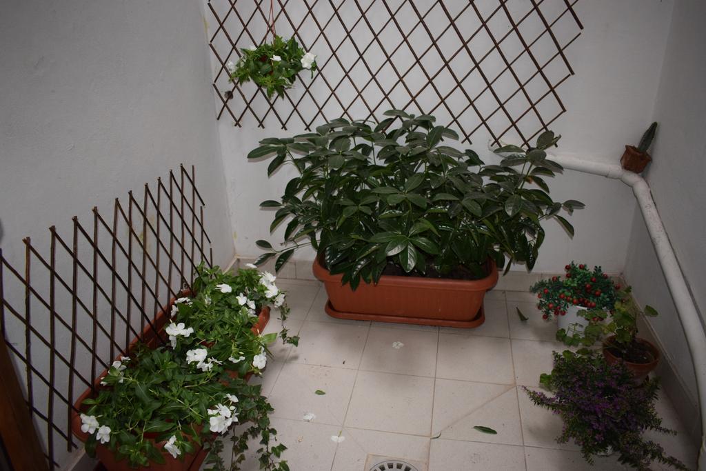 In Bocca Ai Sassi Villa Matera Phòng bức ảnh